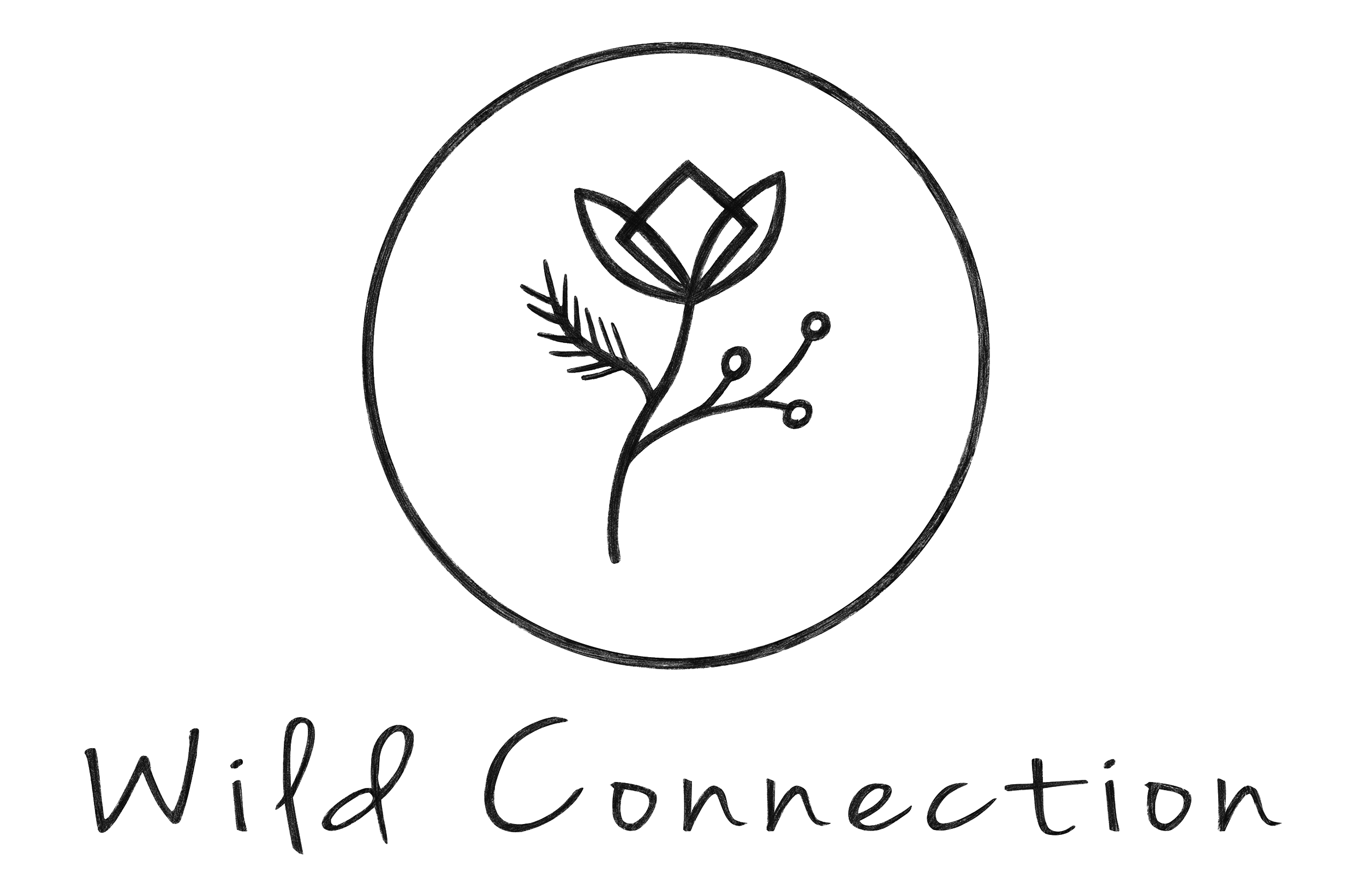 Wild Connection Art